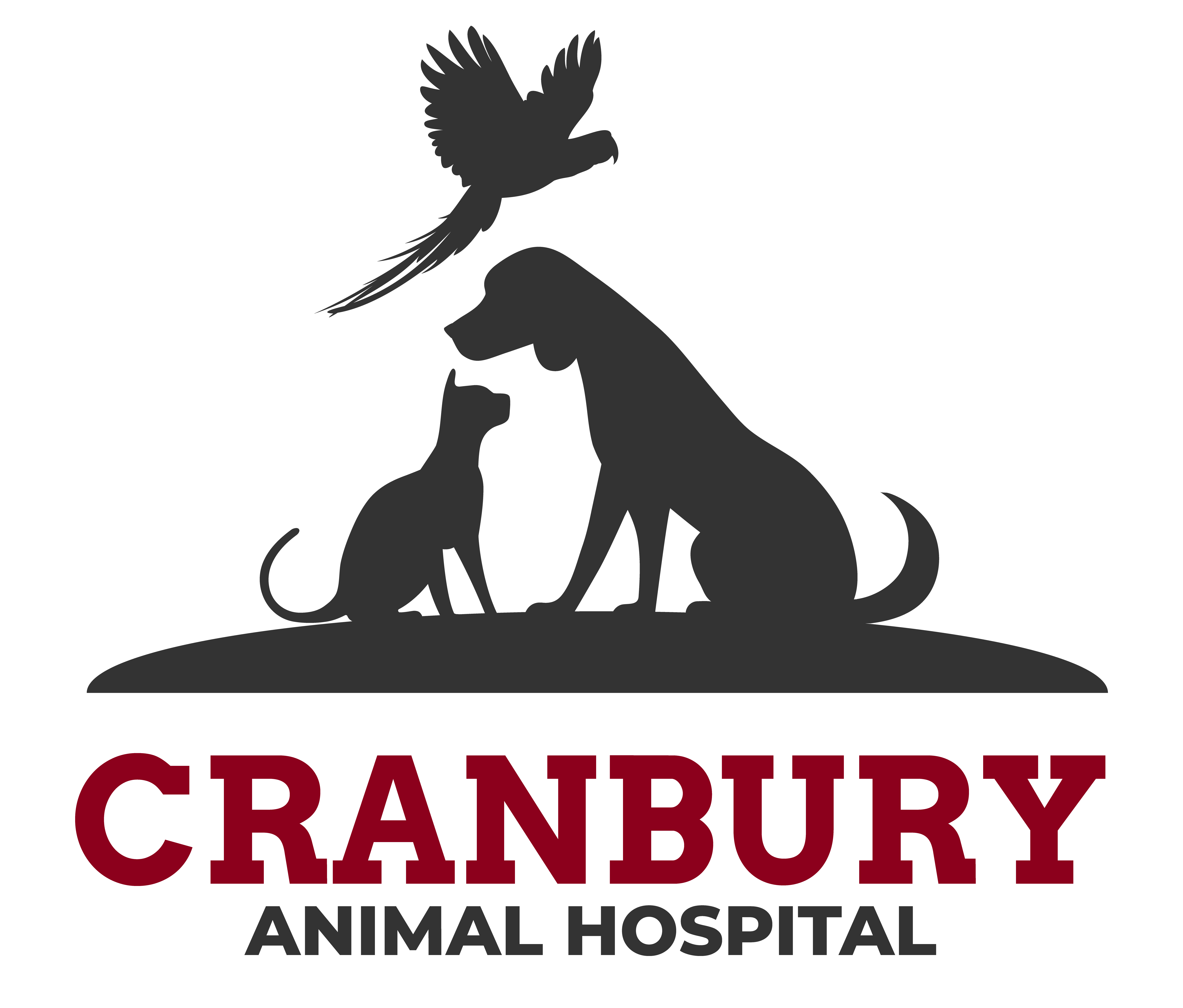 Cranbury Animal Hospital